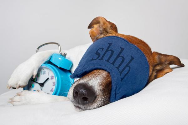  How to Get Better Sleep This Daylight Savings 
